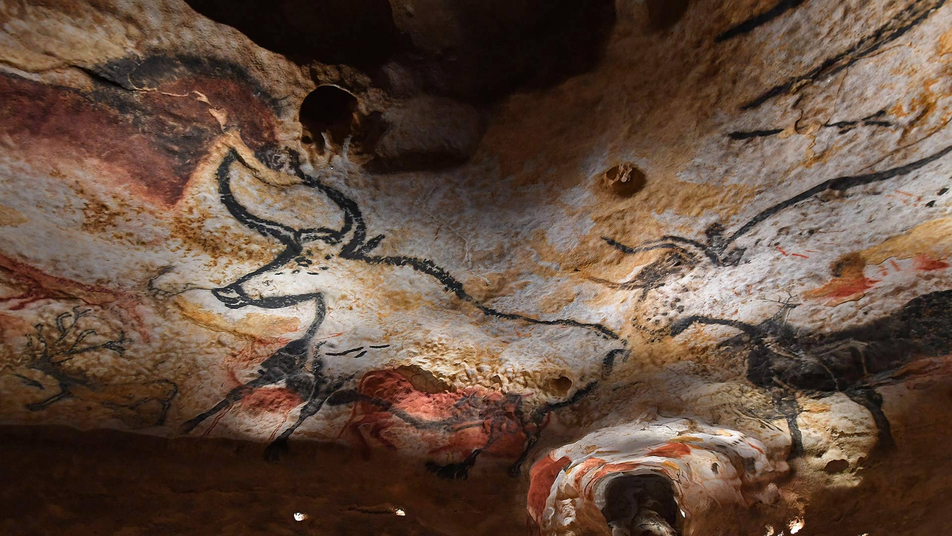 Cave paintings from Lascaux, France, c/o Bing Wallpapers